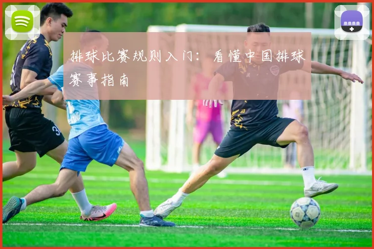 排球比赛规则入门：看懂中国排球赛事指南